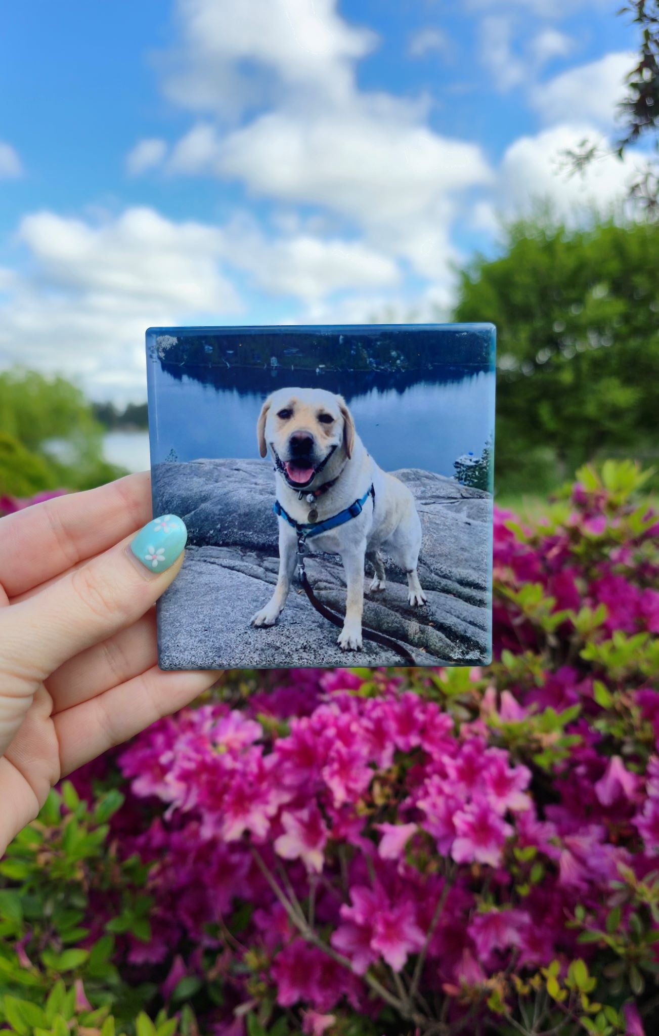 Custom Sublimated Ceramic Coasters – 3.75" Square | Personalized Drink Coasters