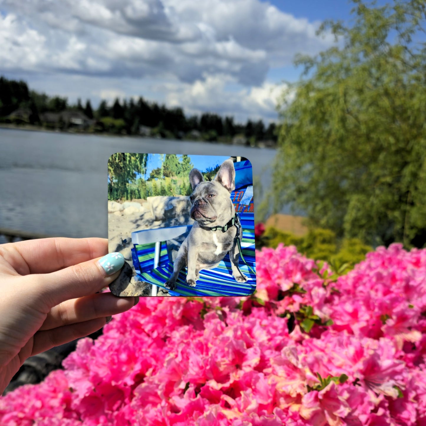 Custom Sublimation Coasters – 3.75" Square MDF Wood with Gloss Finish & Cork Backing