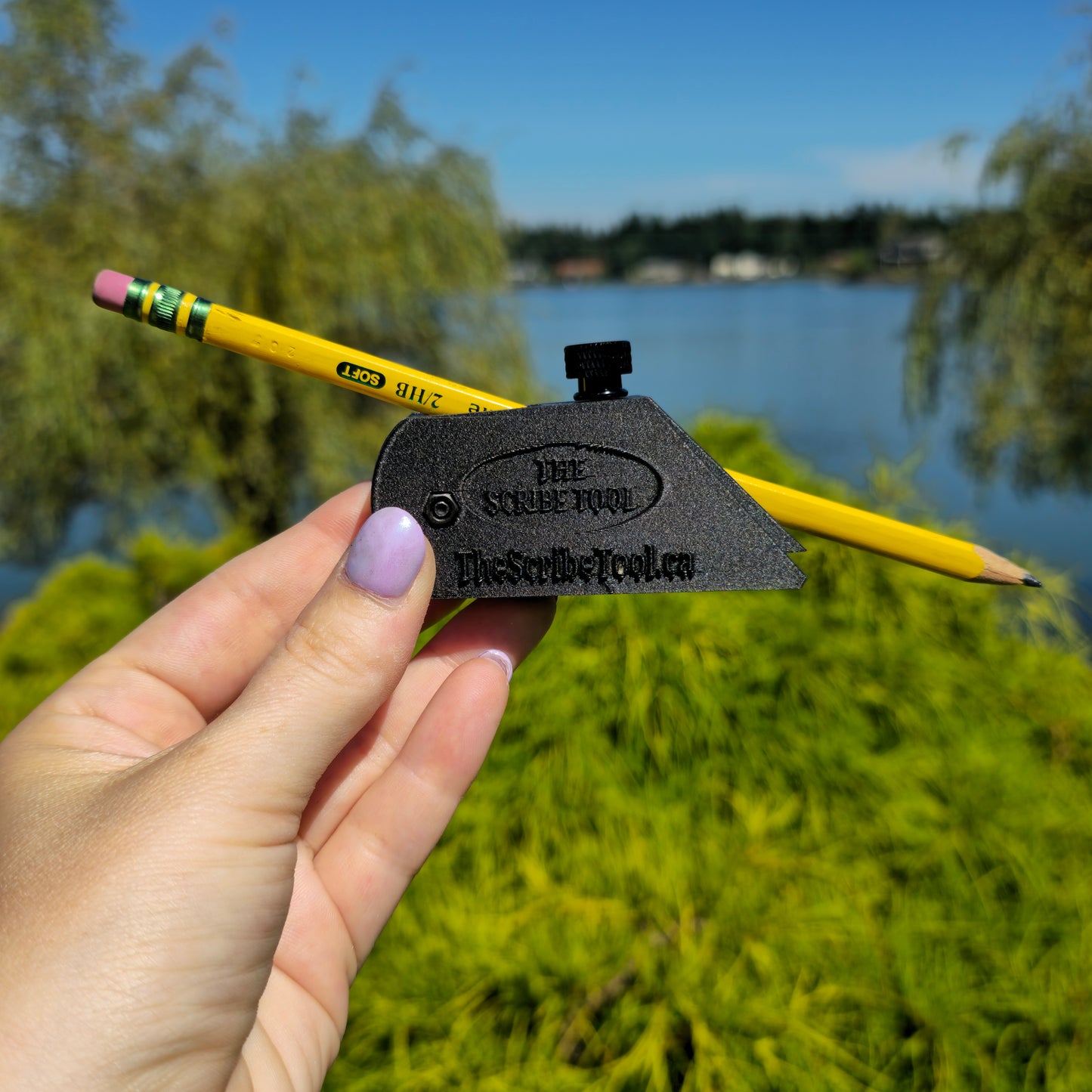 The Scribe Tool